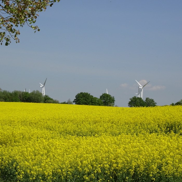 Die Herausforderung - Standortplanung